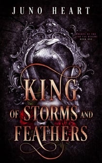 King of Storms and Feathers: Een duistere Fae fantasy-romance - De Sterrenrijken van de Fae, #1