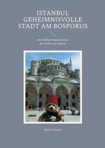 Istanbul geheimnisvolle Stadt am Bosporus - eine Geburtstagsreise aus der Sicht eines Bären