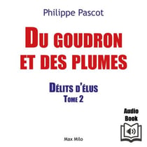 “Du goudron et des plumes” - Délits d’élus Tome 2 - Délits d’élus Tome 2