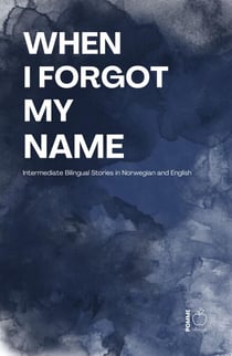 When I Forgot My Name: Intermediate Bilingual Stories in Norwegian and English
