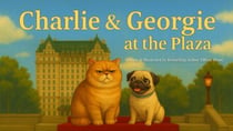 Charlie & Georgie at the Plaza - Charlie & Georgie