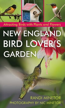 New England Bird Lover's Garden - Attracting Birds with Plants and Flowers