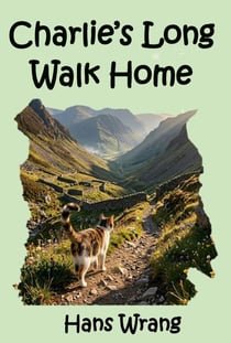 Charlie's Long Walk Home: A cat walking Spain from Galicia to Andalusia