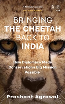 Bringing the Cheetah Back to India - How Diplomacy Made Conservation’s Big Mission Possible