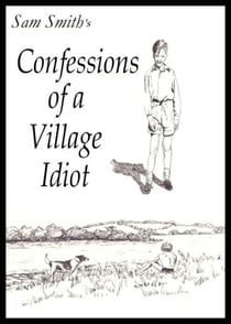 Confessions of a Village Idiot - Beyond the Asylum, #1