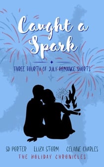 Caught a Spark - The Holiday Chronicles, #3