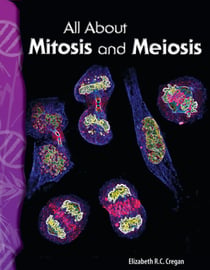 All About Mitosis and Meiosis