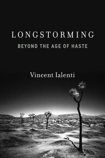 Longstorming - Beyond the Age of Haste
