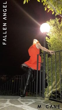 Fallen Angel
