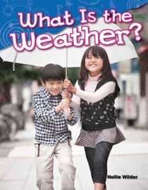 What Is the Weather?