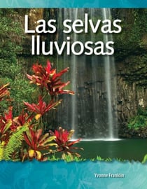 Las selvas lluviosas