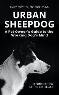 Urban Sheepdog