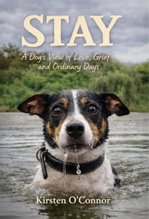 Stay: A Dog's View of Love, Grief and Ordinary Days