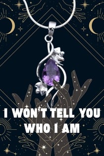 I Won'T Tell You Who I Am