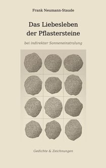 Das Liebesleben der Pflastersteine bei indirekter Sonneneinstralung