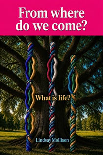From where do we come?