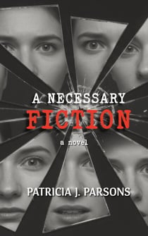 A Necessary Fiction - The Hannah Novak Detective Series, #2