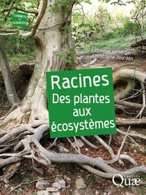 Racines - Des plantes aux écosystèmes