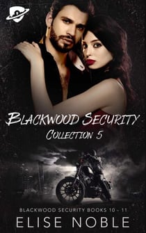 Blackwood Security Collection 5 - Blackwood Security Box Set, #5