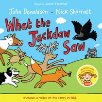 What the Jackdaw Saw - An inclusive rhyming picture book about friendship and deaf awareness