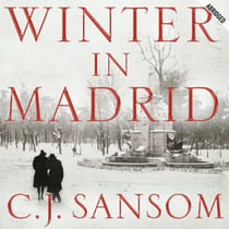 Winter in Madrid