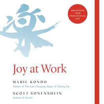 Joy at Work - Organizing Your Professional Life