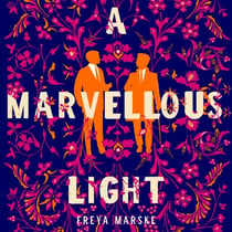 A Marvellous Light - A dazzling, queer romantic fantasy