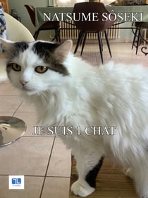 Je suis un chat