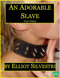 An Adorable Slave (Part Three)