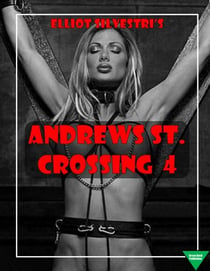 Andrews St. Crossing 4 - Andrew's St. Crossing, #4