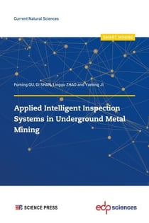 Applied Intelligent Inspection Systems in Underground Metal Mining