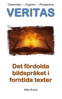 Det fördolda bildspråket i forntida texter