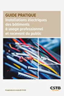 Installations électriques des bâtiments à usage professionnel et recevant du public - En application de la norme NF C15-100