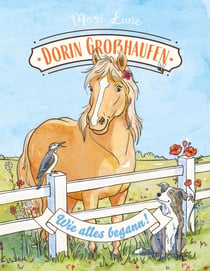 Dorin Großhaufen - Wie alles begann!