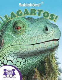 Os Sabe-Tudo! Lagartos!
