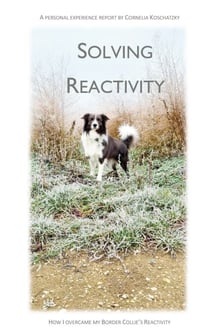 Solving Reactivity - How I overcame my Border Collie's Reactivity