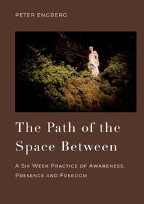 The Path of the Space Between - A Six Week Practice of Awareness, Presence and Freedom