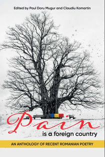 Pain is a Foreign Country - An Anthology of Recent Romanian Poetry