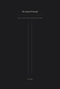 The Amstel Principle: Structure, Perception, and the Unresolved Question of the Banks