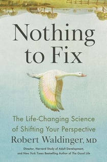 Nothing to Fix - The Life-Changing Science of Shifting Your Perspective