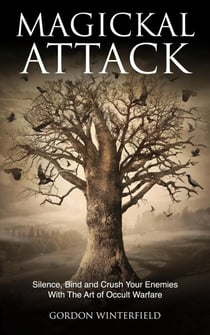 Magickal Attack - The Gallery of Magick, #11