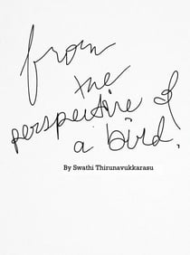From the Perspective of a Bird