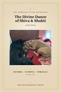 The Divine Dance of Shiva & Shakti