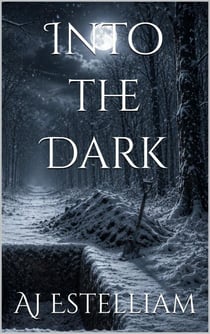 Into the Dark - Emerson and Snow, #21