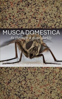 Musca Domestica: As Through a Glass Darkly