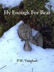 Fly Enough For Beat