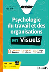 Psychologie du travail et des organisations en visuels - Les fondamentaux en visuels (licence)