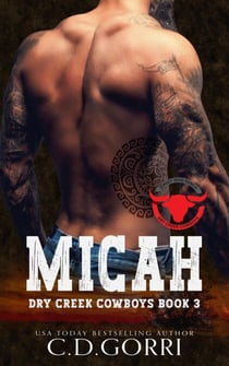 Micah - Dry Creek Cowboys, #3
