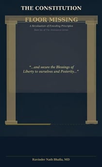The Constitution: Floor Missing - The Abundance Series, #6