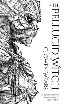 The Pellucid Witch - The Pellucid Witch, #1
